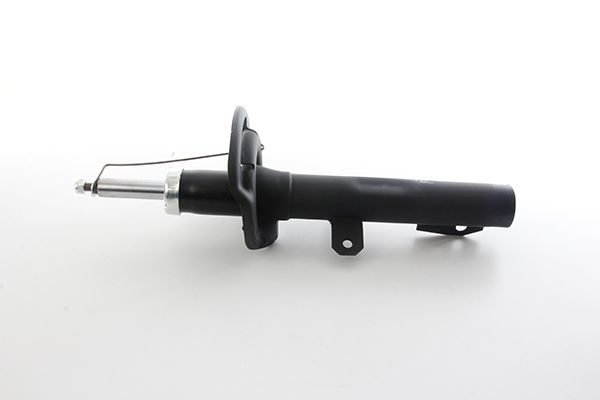 BSG 30-300-057 | Amortısör Ön Sağ / Sol