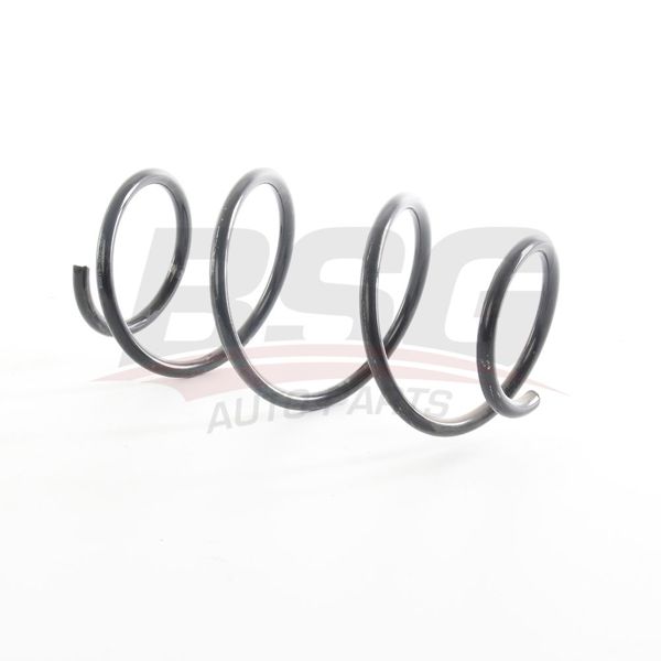 BSG 15-305-005 | Helezon Yayı Ön