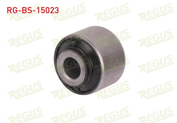 REGUS RG-BS-15023 | Torsiyon Burcu Arka Sol-Sağ Citroen C5 II (Rc) 1.6 HDI 2004-2008