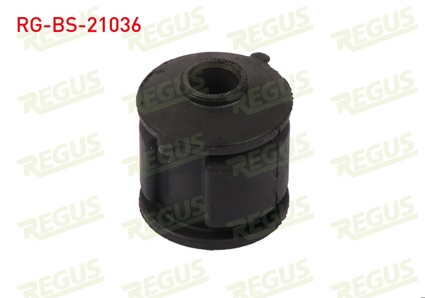 REGUS RG-BS-21036 | Denge Kol Burcu Arka Sol-Sağ Hyundai Accent Admıre 1.3 2003-2006