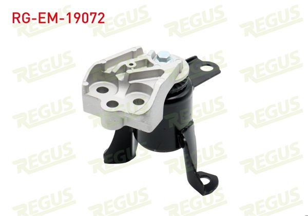 REGUS RG-EM-19072 | Motor Takozu Fiesta / C-Max / Courıer 1.0