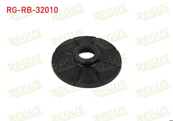 REGUS RG-RB-32010 | Helezon Lastiği Arka Astra G