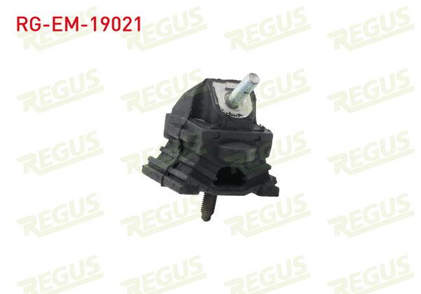 REGUS RG-EM-19021 | Motor Takozu Ford Transit (V184) 2000-06 / 2006