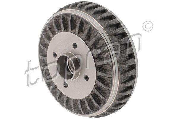 TOPRAN 701613 *2 | Arka Fren Kampanası Clio Captur Kangoo Logan Dokker Sandero (Rulmanlı) | 2 Adet