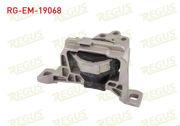 REGUS RG-EM-19068 | Motor Takozu Focus 1.0 Ecoboost 2012 -