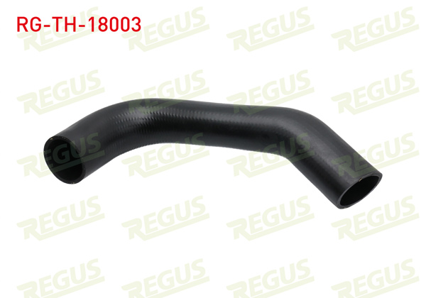 REGUS RG-TH-18003 | Turbo Hortumu Fiat Ducato (250) 2.2 Mjt 2006-2014