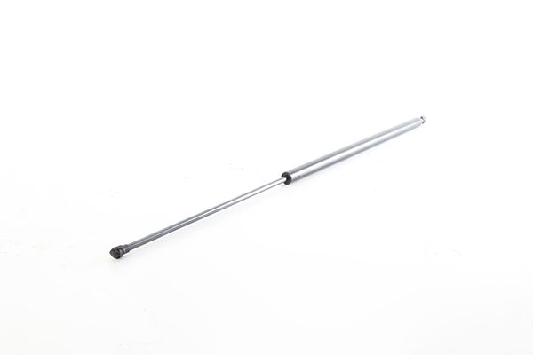 BSG 90-980-068 | Bagaj Amortisörü