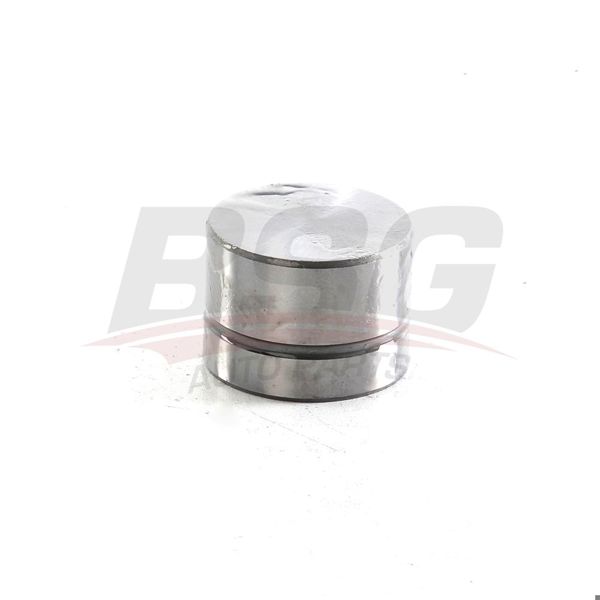 BSG 15-122-026 | Subap Itıcı Tusu