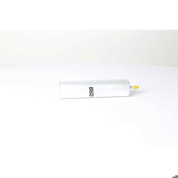 BSG 15-130-004 | Yakıt Filtresi