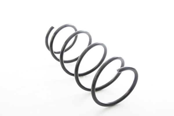 BSG 15-305-017 | Helezon Yayı Ön