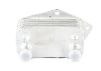 BSG 15-506-006 | Yağ Soğutucusu