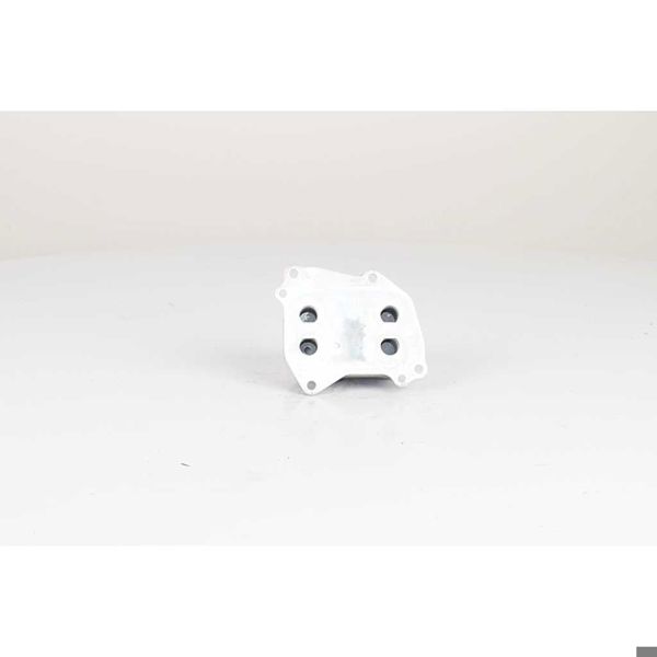 BSG 15-506-025 | Yağ Radyatörü