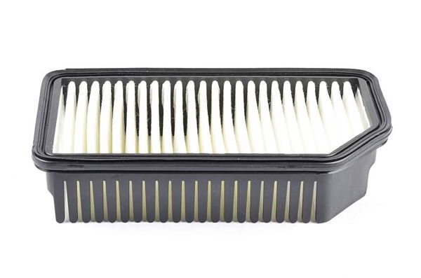 BSG 40-135-016 | Hava Filtresi