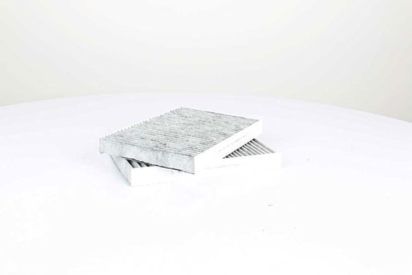 BSG 60-145-011 | Polen Filtresi Karbonlu