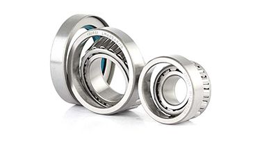 BSG 60-600-003 | Porya Rulmanı Ön