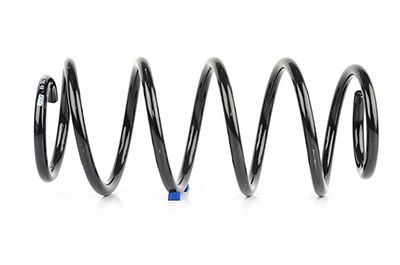 BSG 65-305-005 | Helezon Yayı Ön