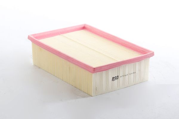 BSG 70-135-036 | Hava Filtresi