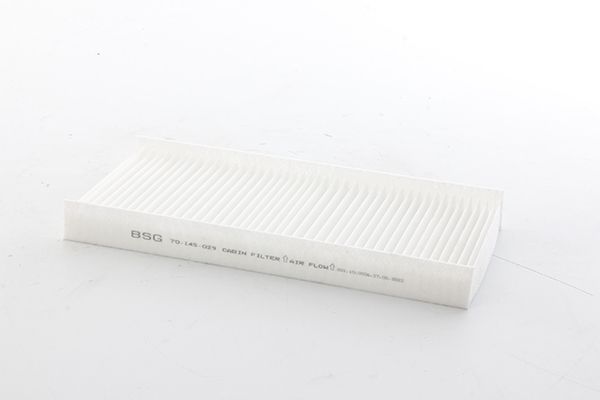 BSG 70-145-029 | Polen Filtresi