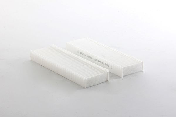 BSG 65-145-021 | Polen Filtresi Takım