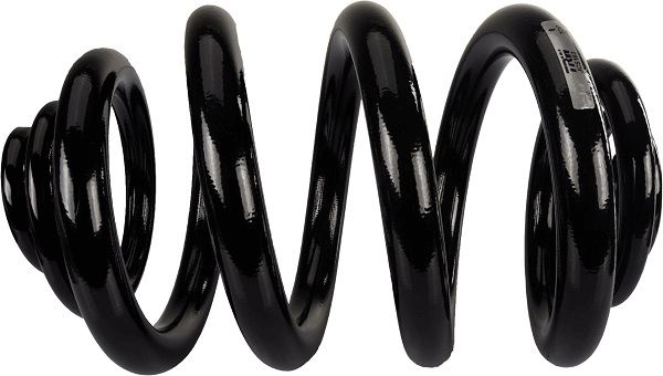 TRW JCS103 | Helezon Yayı Arka