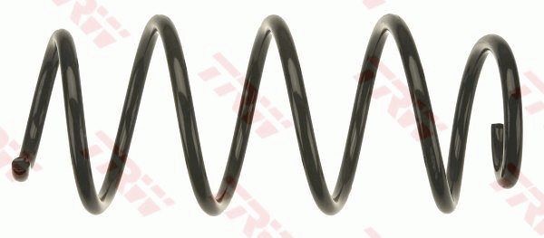 TRW JCS1040 | Helezon Yayı Ön