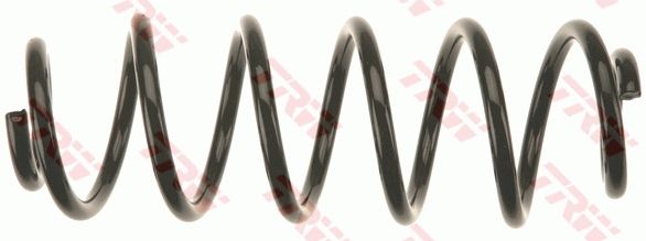 TRW JCS1345 | Helezon Yayı Arka