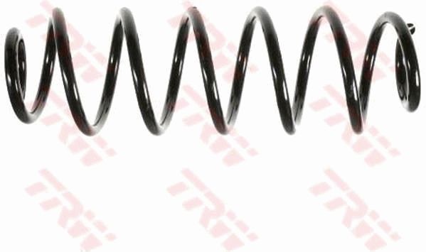 TRW JCS229 | Helezon Yayı Arka