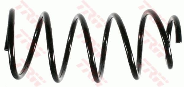 TRW JCS409 | Helezon Yayı Ön