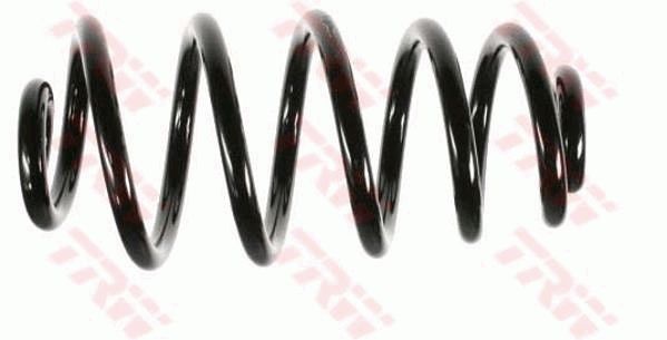 TRW JCS451 | Helezon Yayı Arka