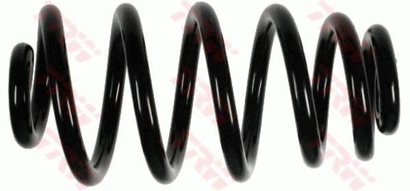 TRW JCS920 | Helezon Yayı Arka