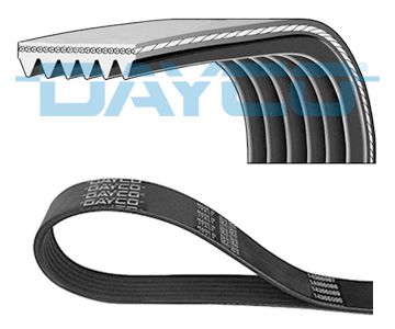 DAYCO 6PK1024EE | Kanallı V Kayışı