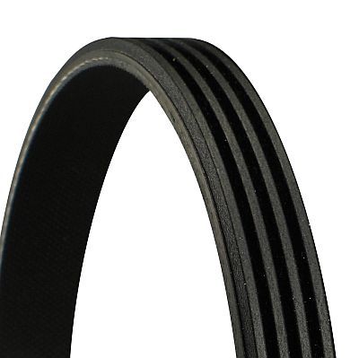 CONTINENTAL CTAM 4PK1366 | V Kayışı C5 II 2.0 HDI 04 -