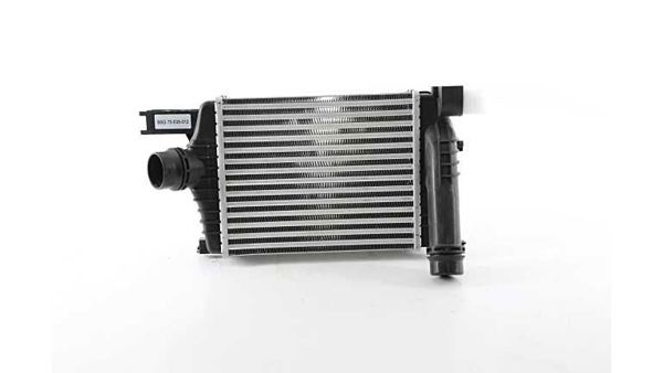 BSG 75-535-012 | Turbo Radyatörü Intercooler 257 X 216 X 64