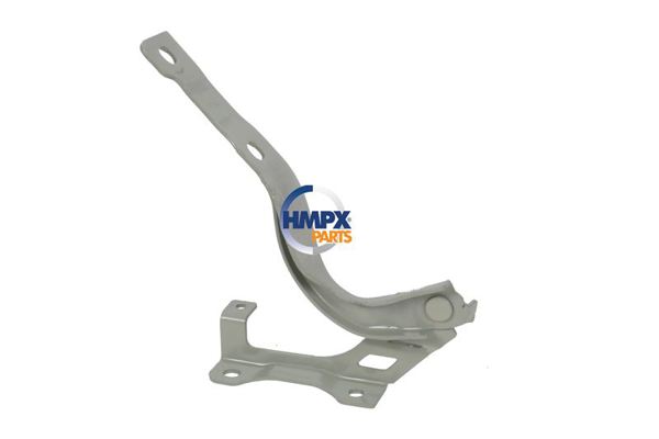 HMPX PARTS 10230188 | Kaput Menteşesi Sağ Zs 20 >