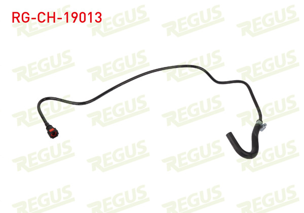 REGUS RG-CH-19013 | Yedek Su Depo Borusu Ford Fiesta V 1.25İ 2001-2008