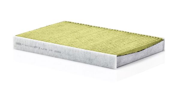 MANN FP2952 | Polen Filtresi Karbonlu Iveco Daily IV 29L10v 06-11