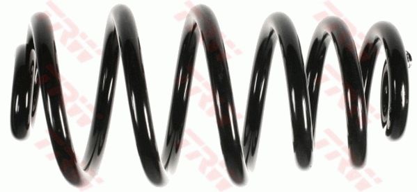 TRW JCS634 | Helezon Yayı Arka