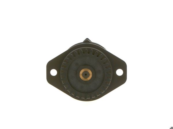 BOSCH 0440020035 | Dişli Pompa Ren.Magnum