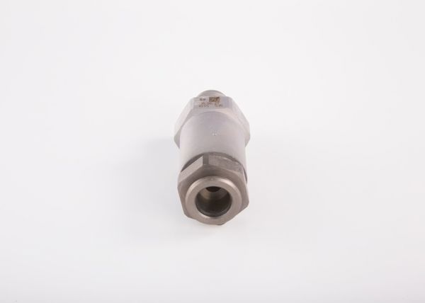 BOSCH 1110010035 | Basınç Sınırlama Valfi Eski No: F00r000775