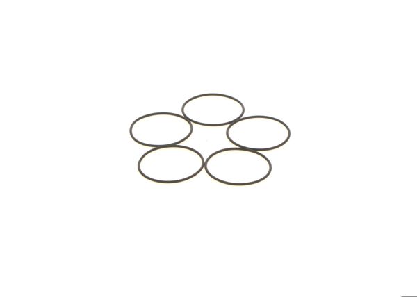 BOSCH 1410210053 | O-Ring