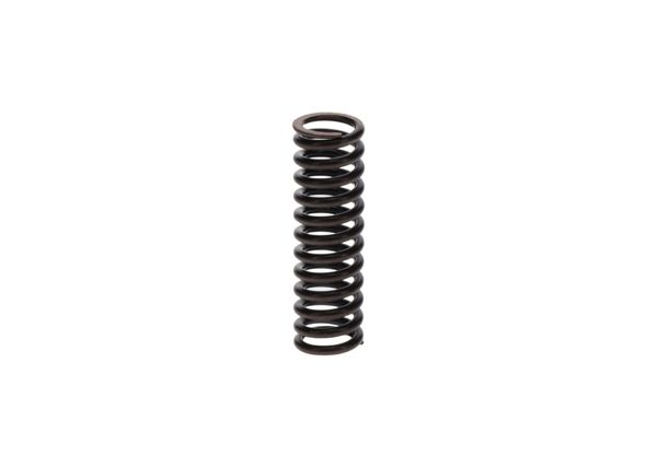 BOSCH 1414612020 | Basınç / Baskı Yayı