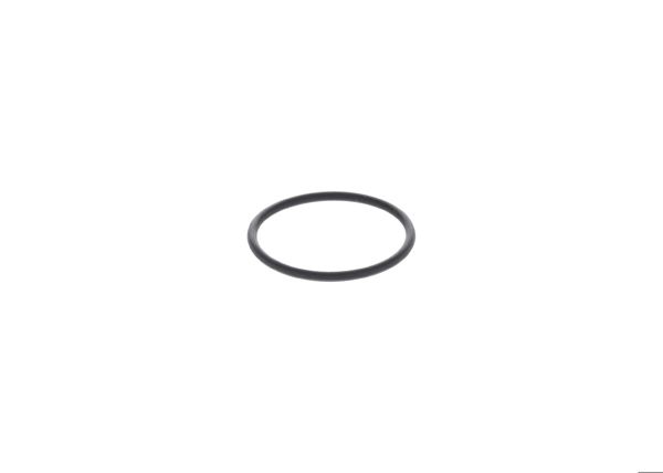 BOSCH 1420210025 | O-Ring