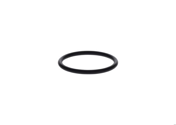 BOSCH 1420210046 | O-Ring