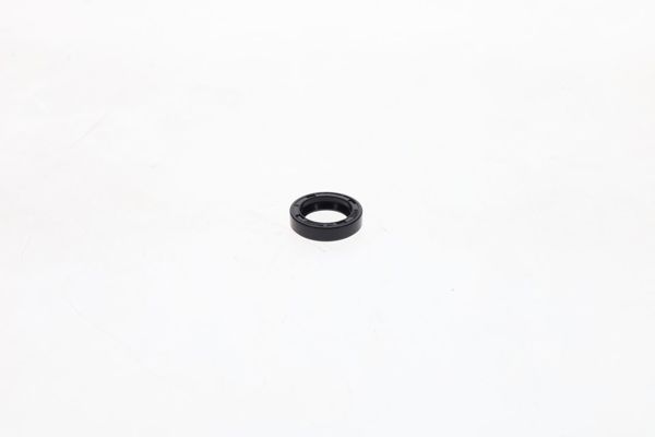 BOSCH 1420283001 | Radyal Keçe