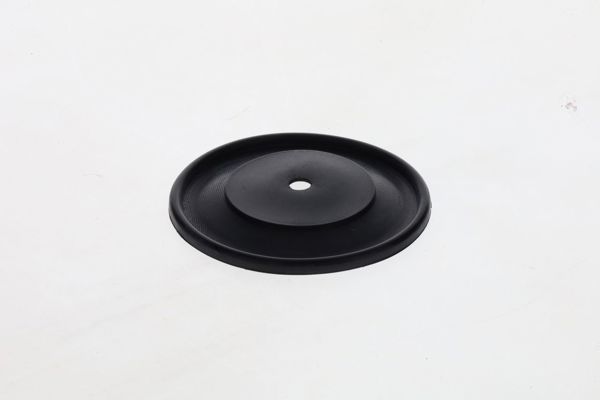 BOSCH 1420503034 | Diyafram