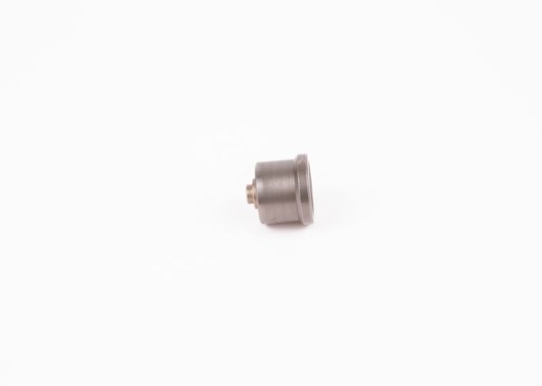 BOSCH 2418552039 | Pompa Valfi