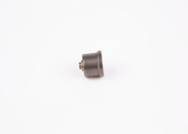 BOSCH 2418552229 | Pompa Valfi