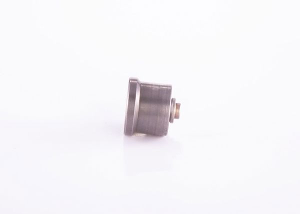 BOSCH 2418554043 | Pompa Valfi