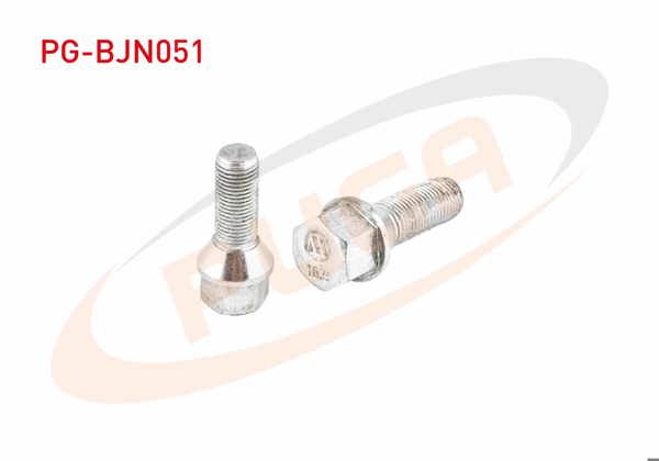 PUGA PG-BJN051 | Bijon Cıvatası Skoda (E.M) Aa.17 | 10 Adet