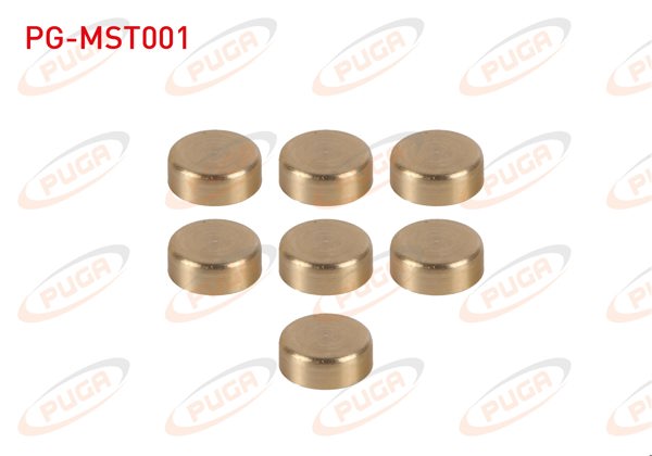 PUGA PG-MST001 | Motor Su Blok Tapası Takım Sarı Pırınc Linea / Doblo / Egea / Palio / Albea 1.3 Mtj